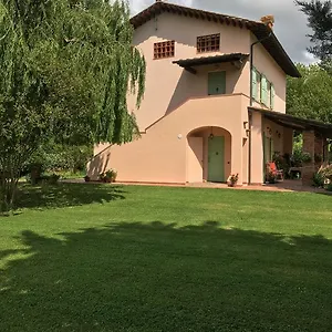 Favilli , Pisa Italia